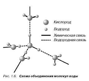 Водородные соединения молекул воды